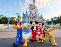 Paquete Magico Disney